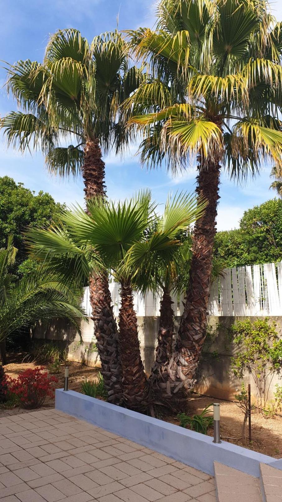 Villa Andalucia, Pisc Chauf Mai A Sept La Ciotat Eksteriør bilde